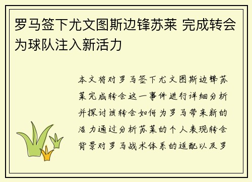 罗马签下尤文图斯边锋苏莱 完成转会为球队注入新活力
